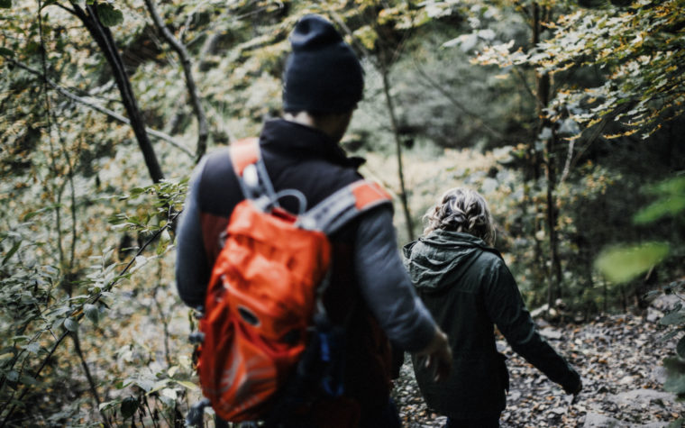 twisted-oaks-studio-ricketts-glen-engagement-0004