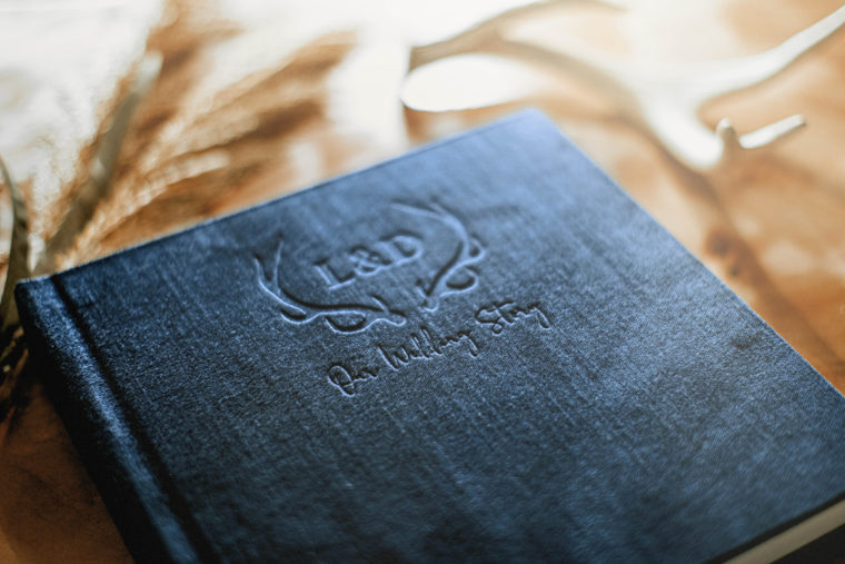 Vision Art velvet albums