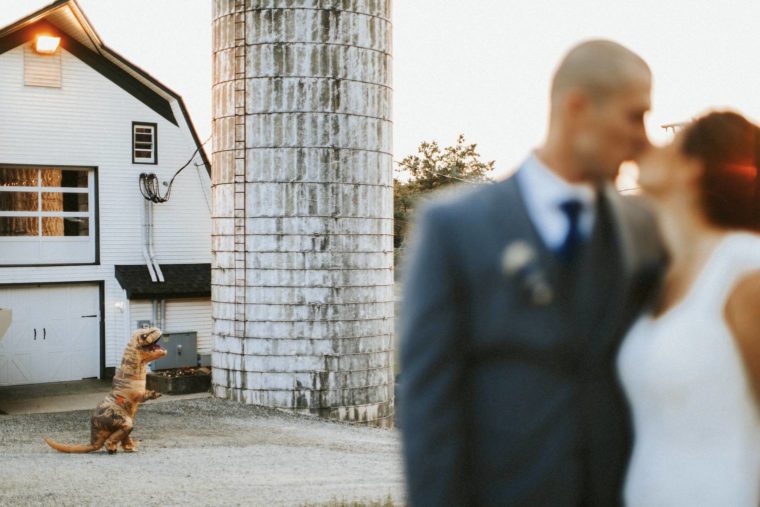 Perona Farms Wedding