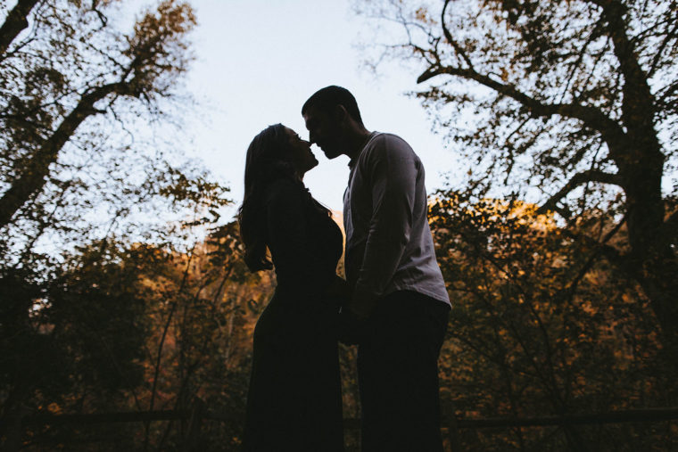 Wissahickon Engagement