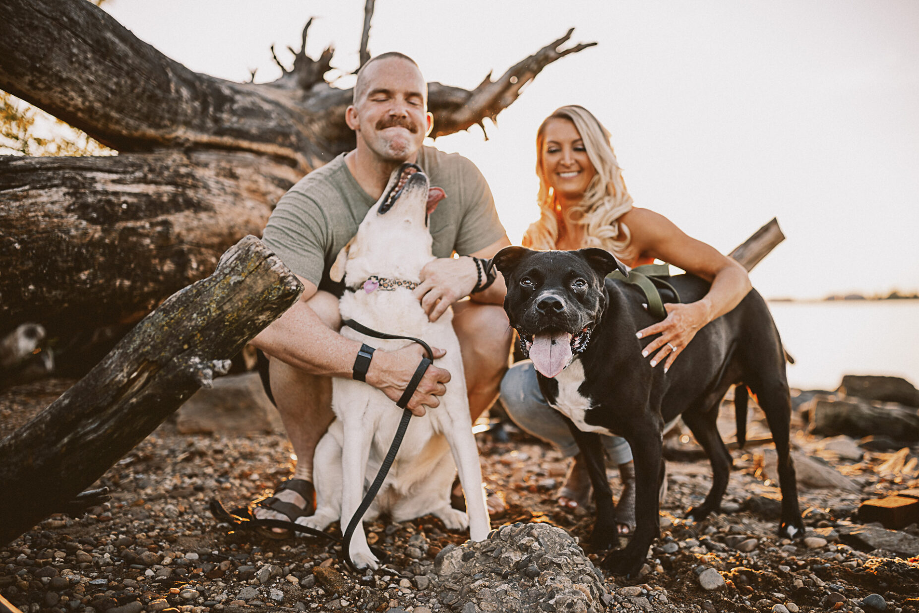 engagement shoot with dogs