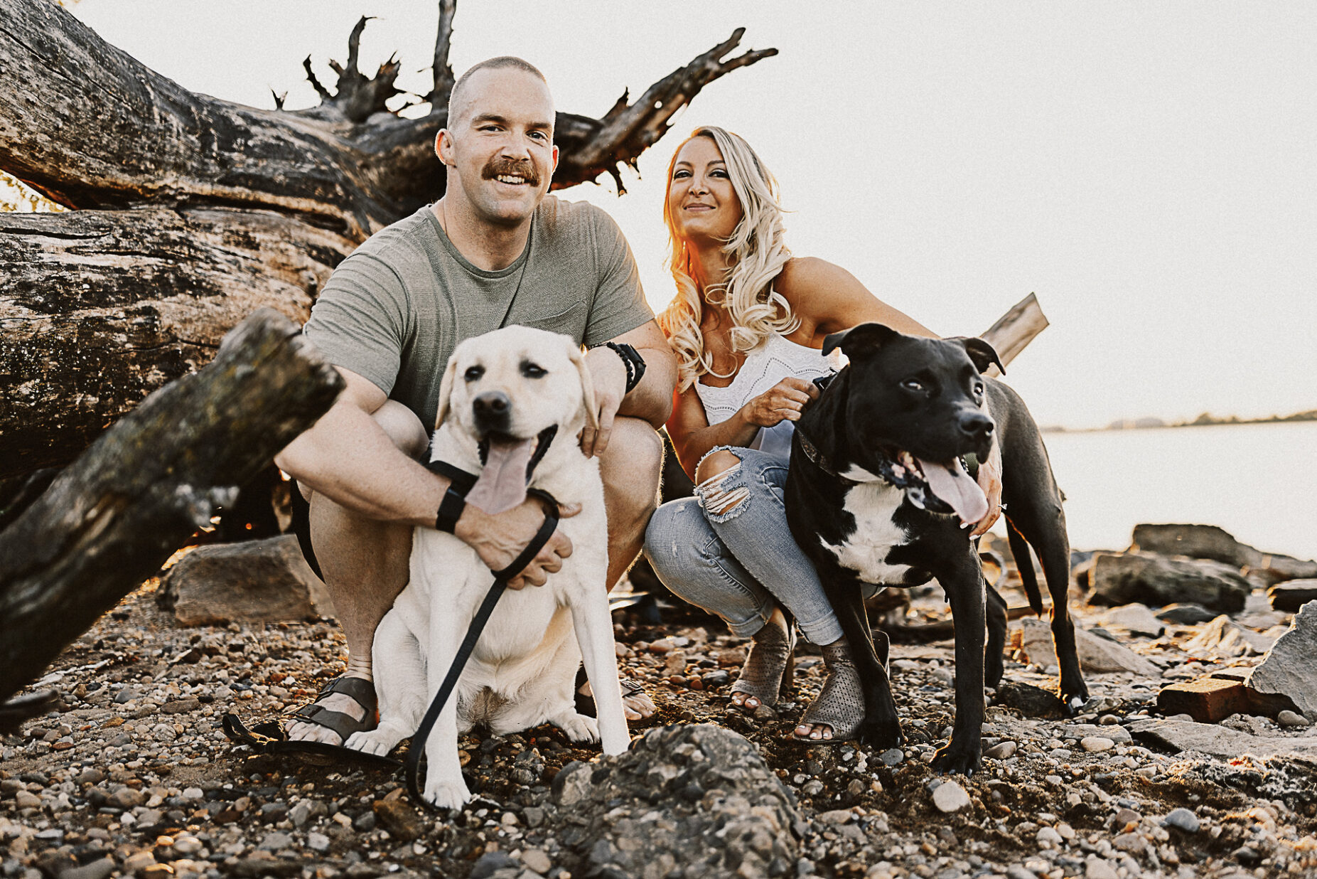 engagement shoot with dogs