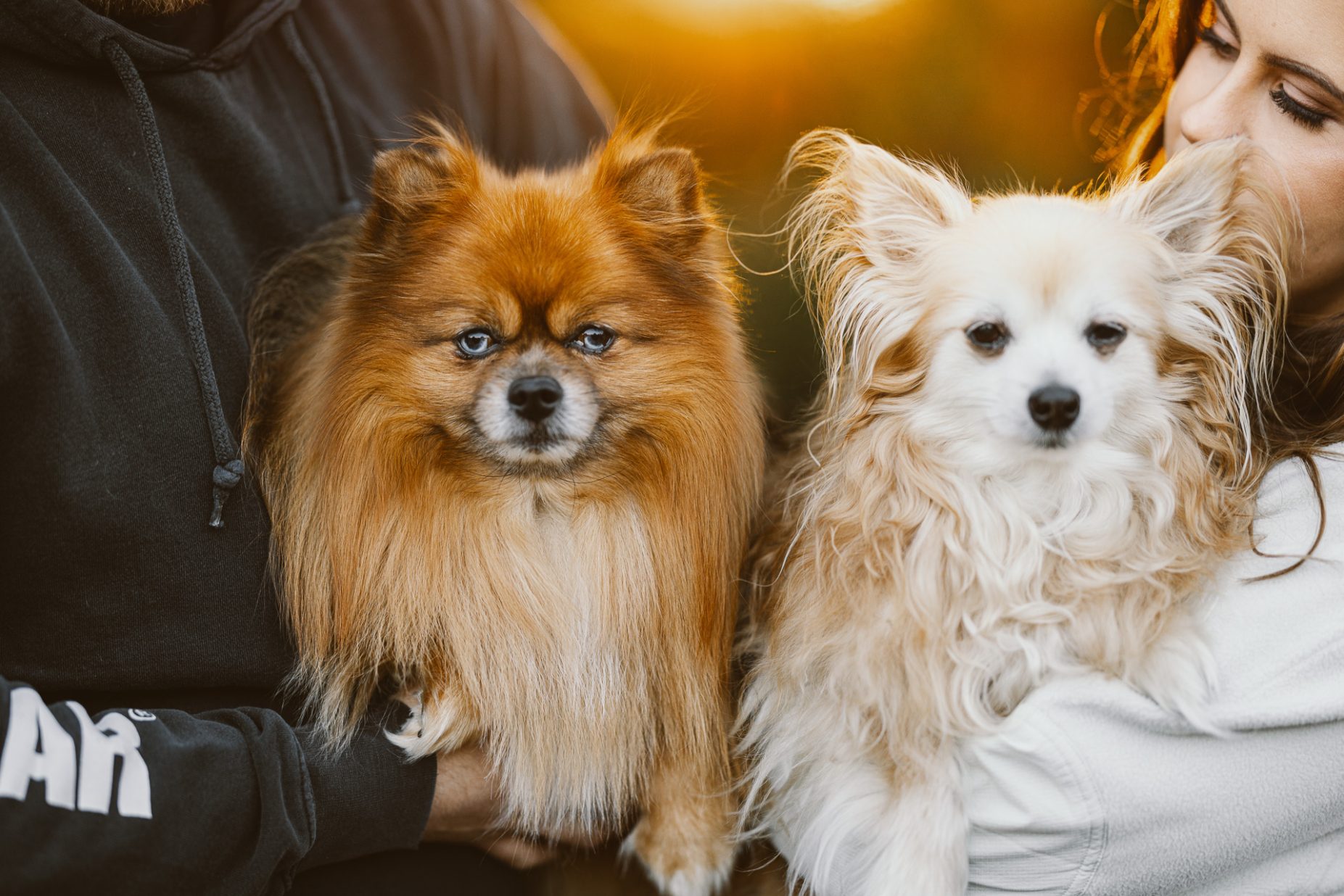 Anniversary Photo shoot