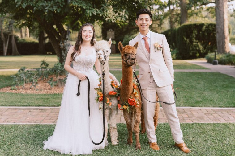 bishop farmstead wedding photographer