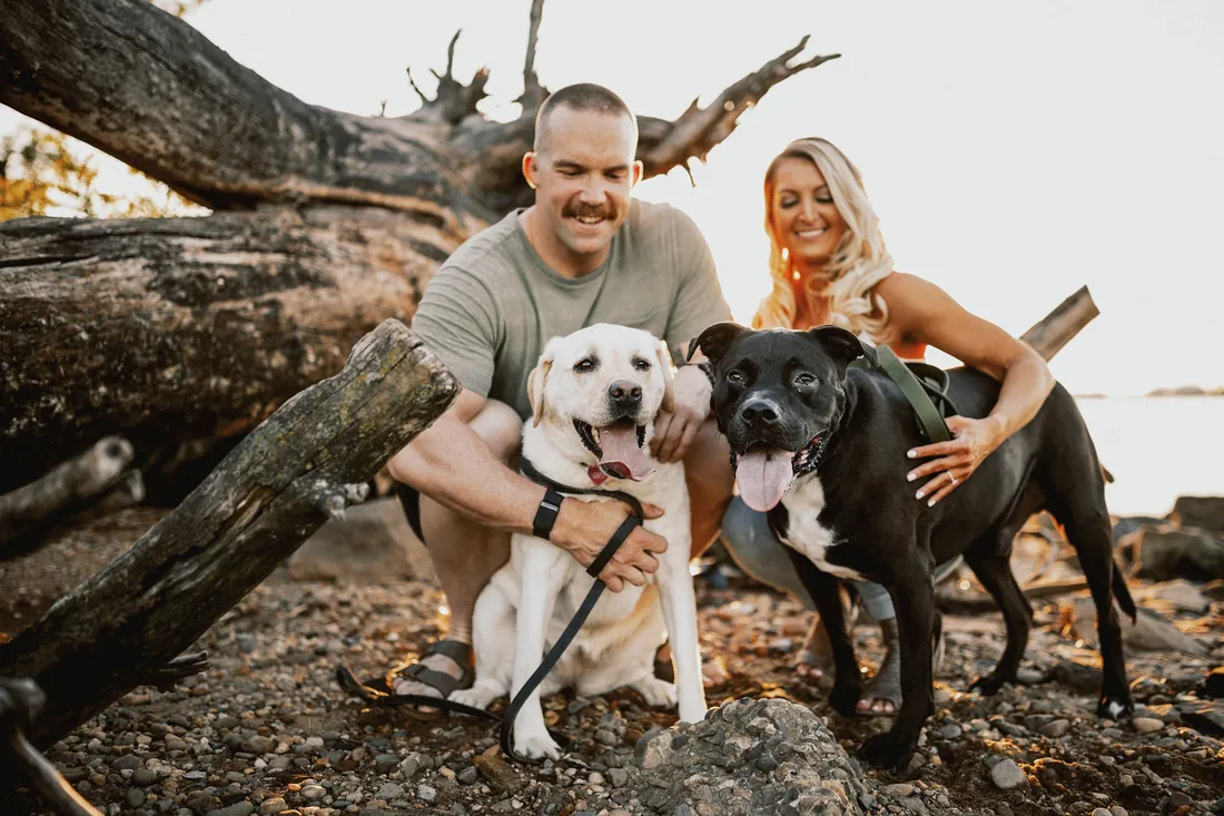 Engaged couple with their two dogs by a driftwood log