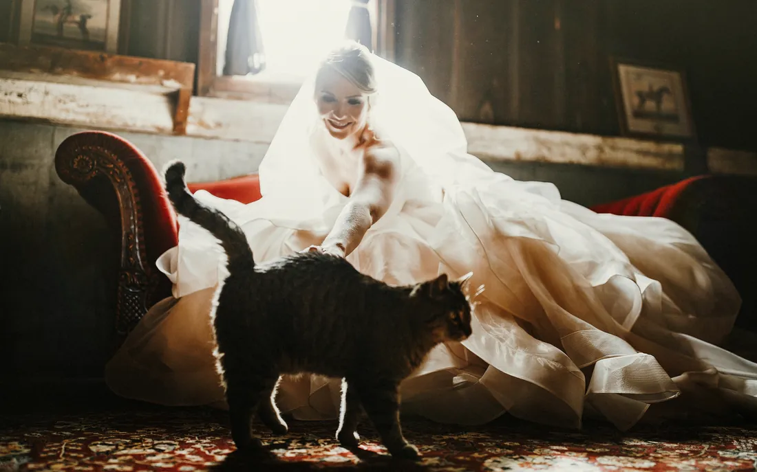 Bride on a vintage sofa as a black cat walks by