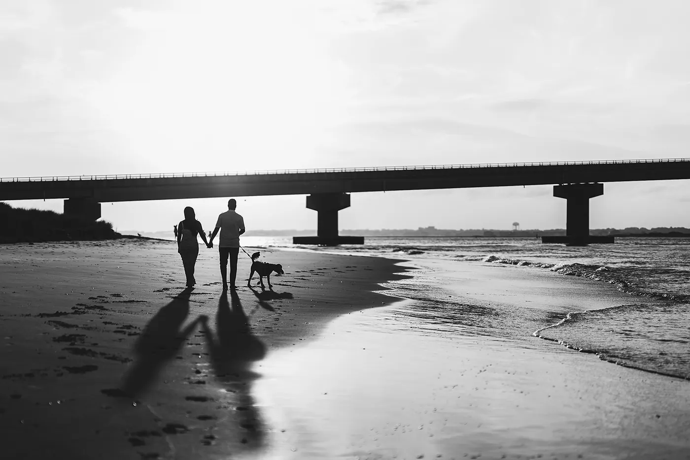 Black and white silhouette of Branon, Celeste and their dog walking on the beach in Ocean City, NJ, near the Longport bridge