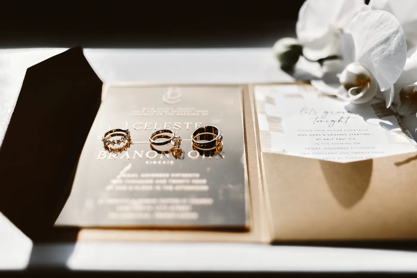 Three wedding rings on Celeste and Branon's invitation suite
