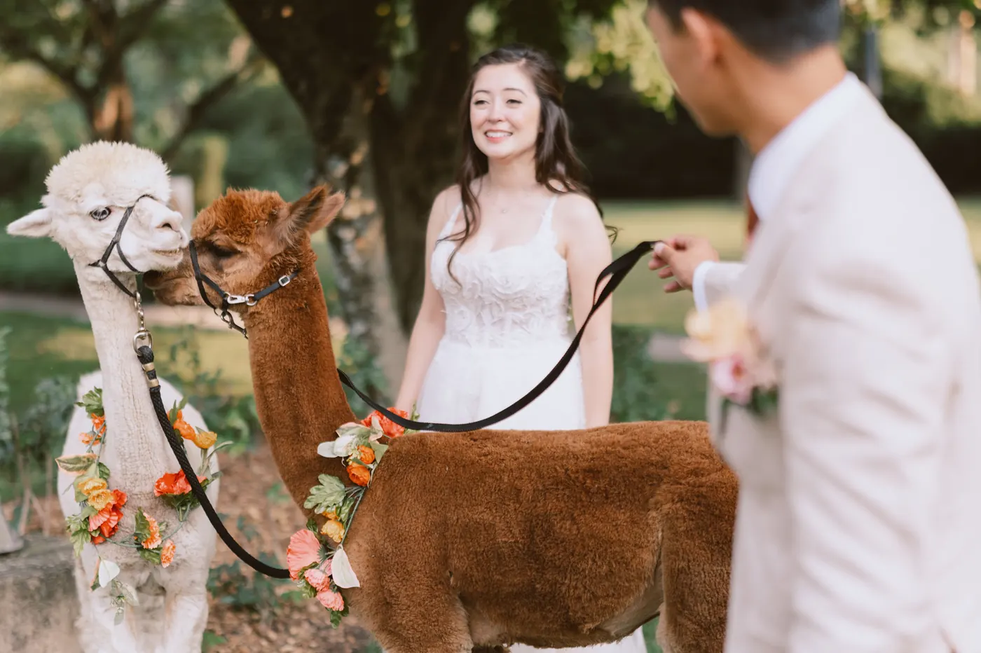 Camille smiling at the alpacas in their flower collars