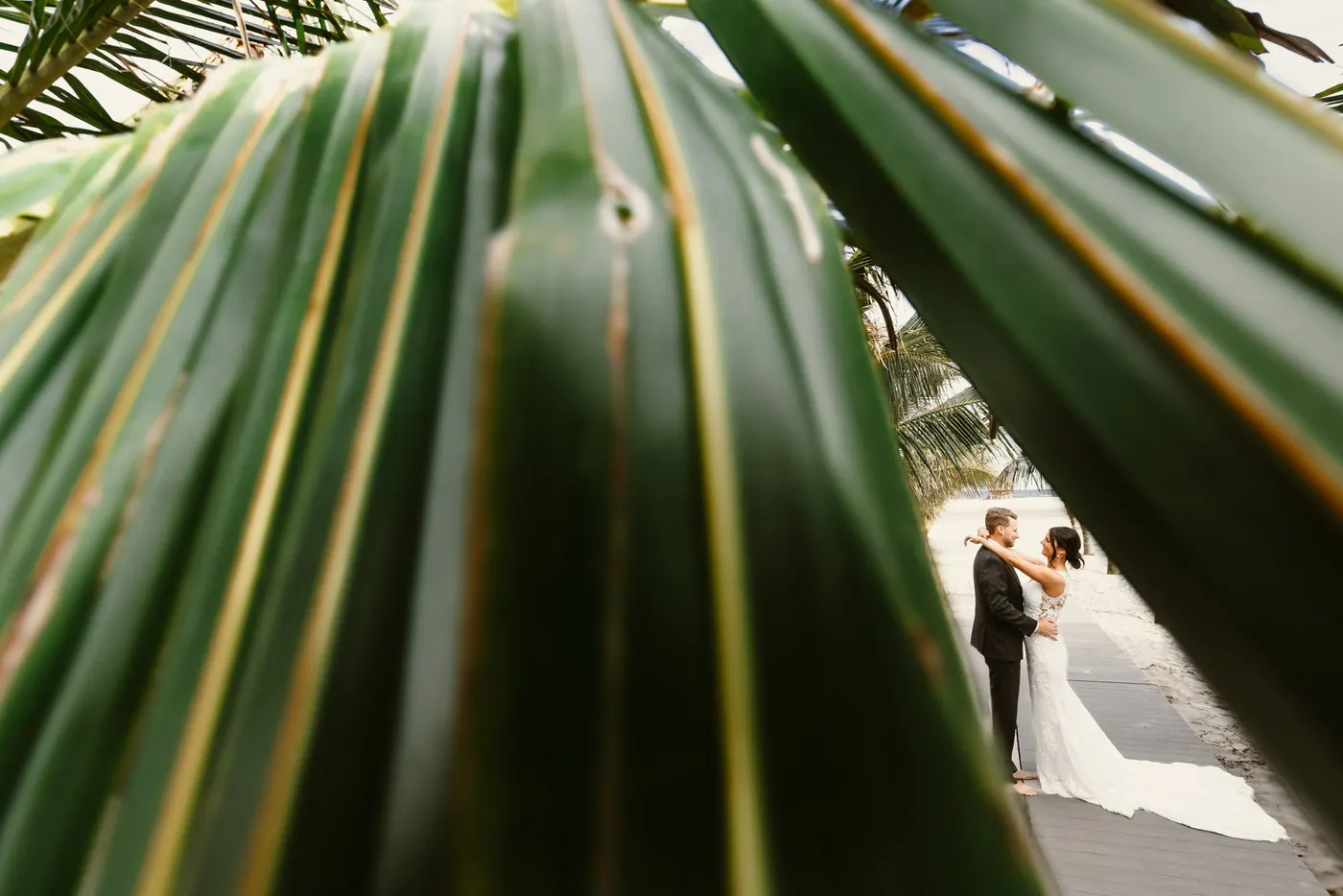 Mason and Morgan framed by palm fronds on the beach at ICONA Diamond Beach in Wildwood, NJ