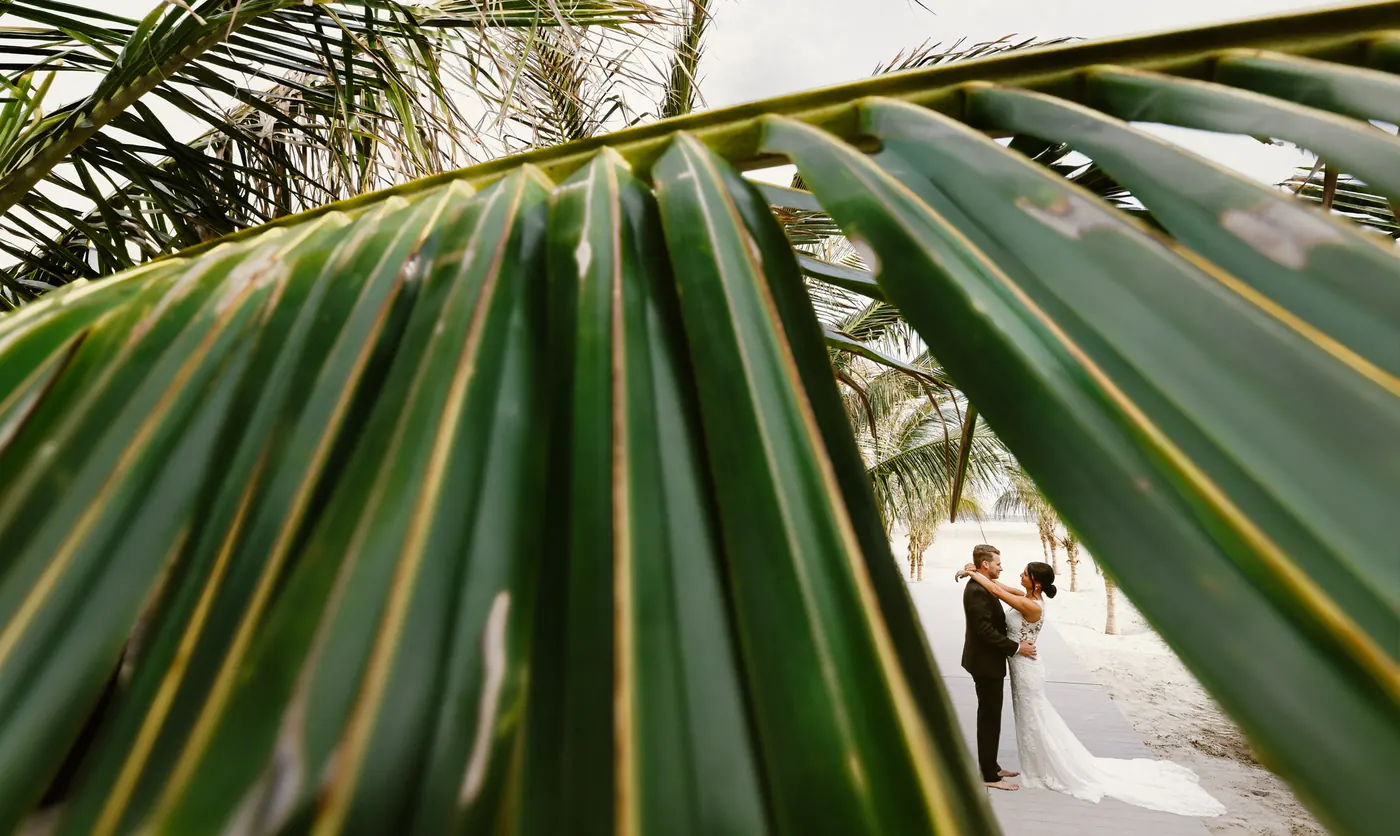 A palm frond framing Mason and Morgan on the beach at ICONA Diamond Beach