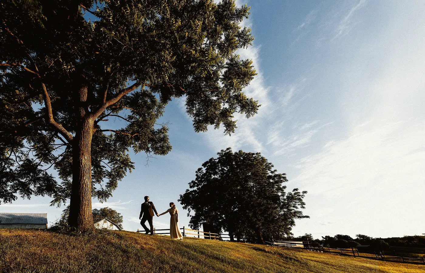 Matt and Erica walking hand in hand beneath a huge tree on the hill at Johnson's Locust Hall Farm in Jobstown, NJ