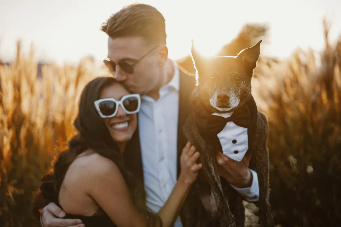 Will kissing Morgan's forehead as he holds their dog in a tuxedo bib, in golden tall grass during their Renault Winery engagement session