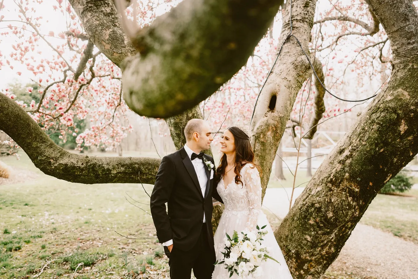 Steve and Maria smiling under the twisting branches of the magnolia tree
