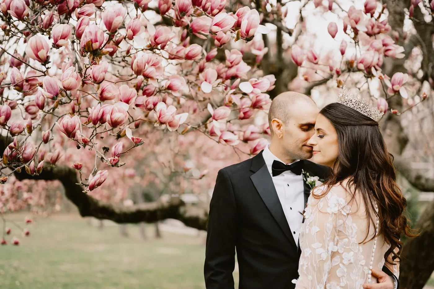 Steve and Maria leaning in close under a canopy of pink magnolia blossoms